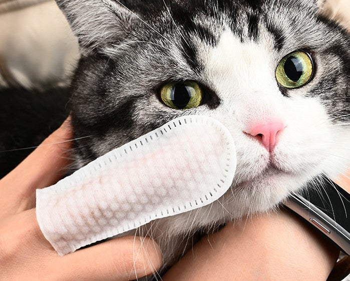 Dedo Dental ZepetZ - ¡Limpieza efectiva y natural para tu mascota! 🐾✨