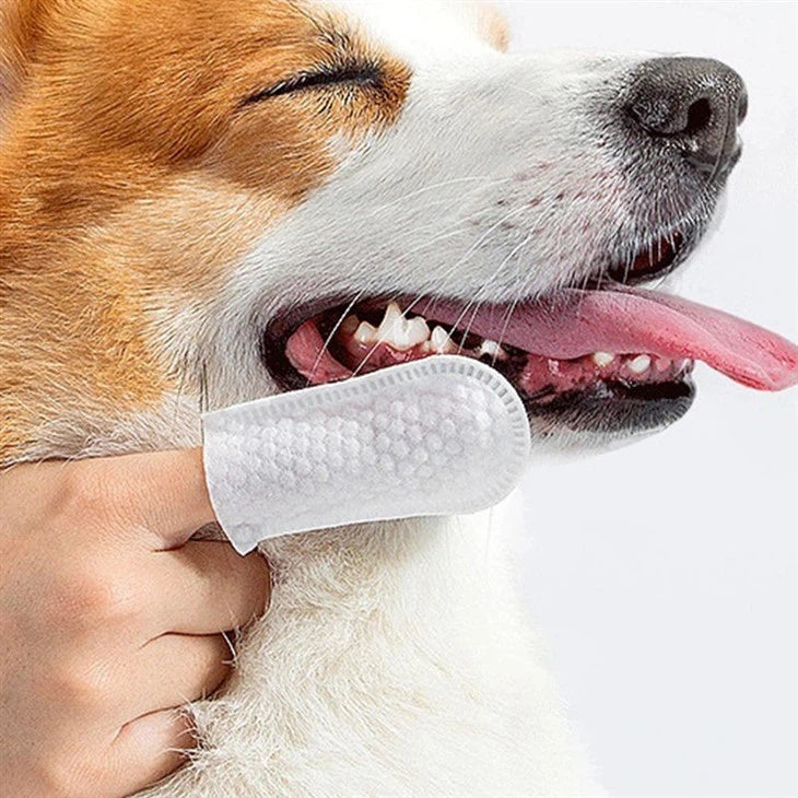 Dedo Dental ZepetZ - ¡Limpieza efectiva y natural para tu mascota! 🐾✨